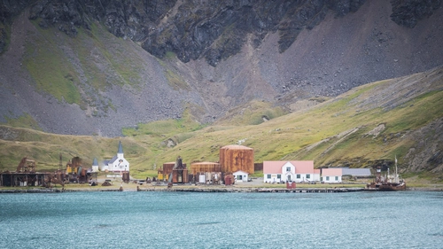 Falkland Islands - South Georgia - Elephant Island - Antarctica - Polar Circle - Nexta Expeditions