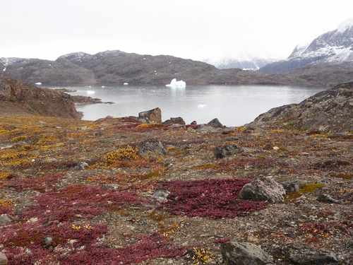  East Greenland, Scoresby Sund - Aurora Borealis, Including Long Hikes