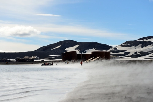 Antarctica - Discovery and learning voyage - Nexta Expeditions