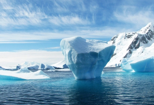  Arctic Ocean - Fair Isle, Jan Mayen, Ice Edge, Spitsbergen, Birding