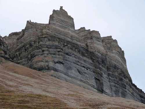 North Spitsbergen, Arctic Summer - Nexta Expeditions