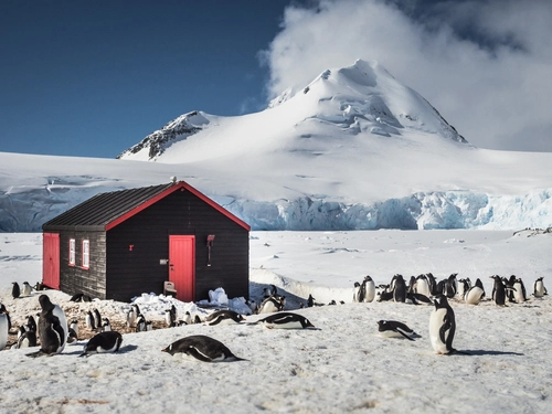 Antarctica - Basecamp - free camping, kayaking, snowshoe/hiking, mountaineering, photo workshop - Nexta Expeditions