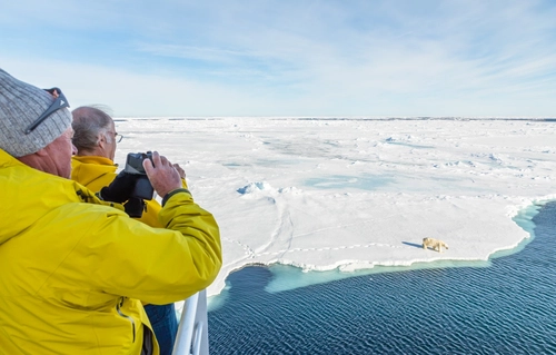 Arctic Ocean - Fair Isle, Jan Mayen, Ice edge, Spitsbergen, Birding - Summer Solstice - Nexta Expeditions