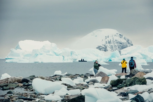 Antarctica - Discovery and learning voyage - Nexta Expeditions