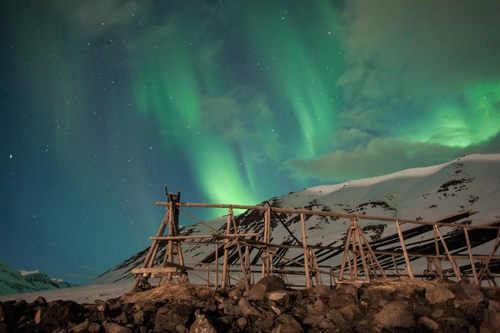  Northeast Iceland Explorer , Aurora Borealis, Hike & Sail - Incl. Bus back up