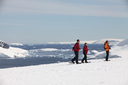 Antarctica - Discovery and learning voyage - Nexta Expeditions