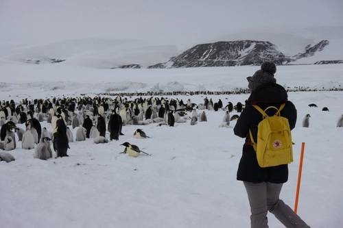  Weddell Sea – In search of the Emperor Penguin, incl. helicopters