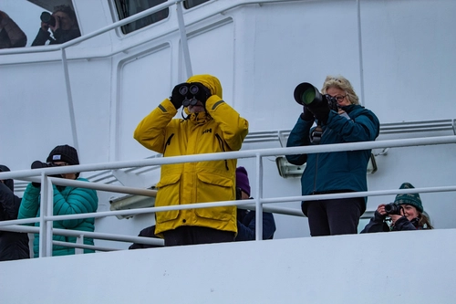 Antarctica - Basecamp - free camping, kayaking, snowshoe/hiking, mountaineering, photo workshop - Nexta Expeditions