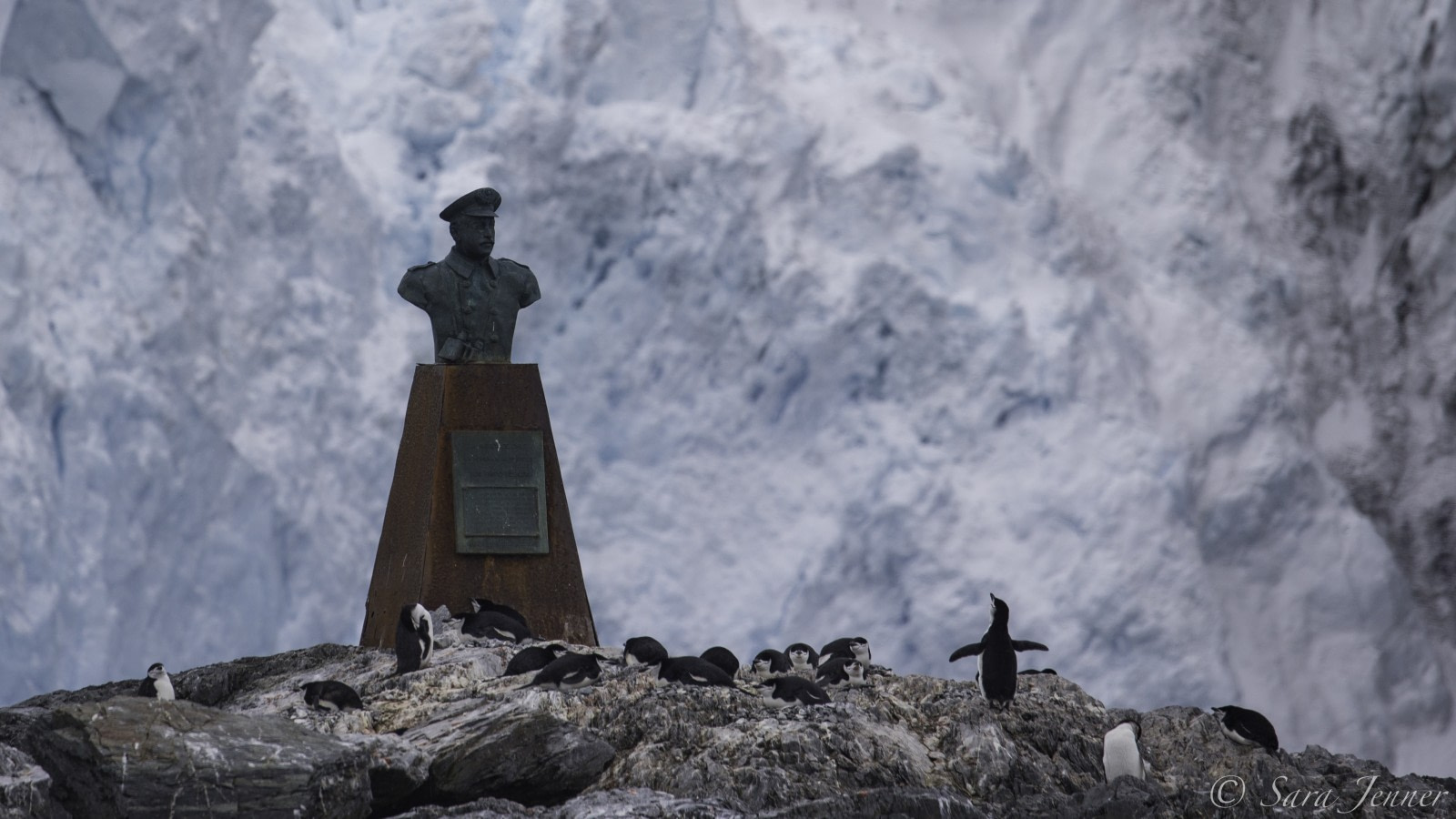 Remote Weddell Sea Explorer incl. South Georgia - South Sandwich Islands - Neuschwabenland - Larsen Ice Shelf - Paulet and Devil Island - Elephant Island, incl. helicopters