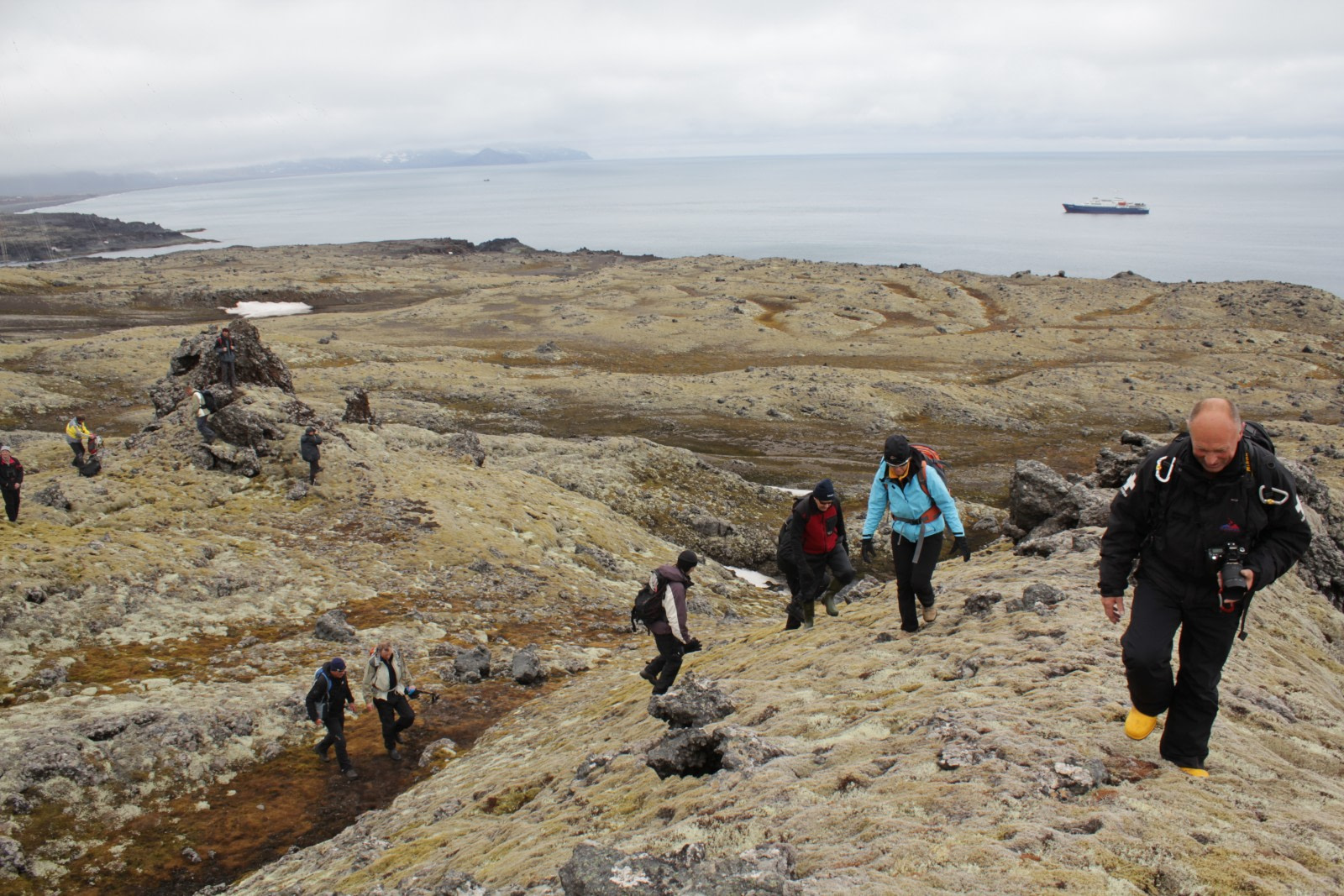 Arctic Ocean - Fair Isle, Jan Mayen, Ice edge, Spitsbergen, Birding