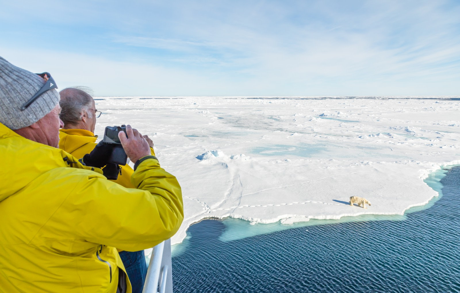 Arctic Ocean - Fair Isle, Jan Mayen, Ice edge, Spitsbergen, Birding - Summer Solstice