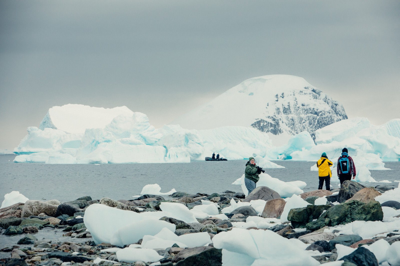 Antarctica - Discovery and learning voyage