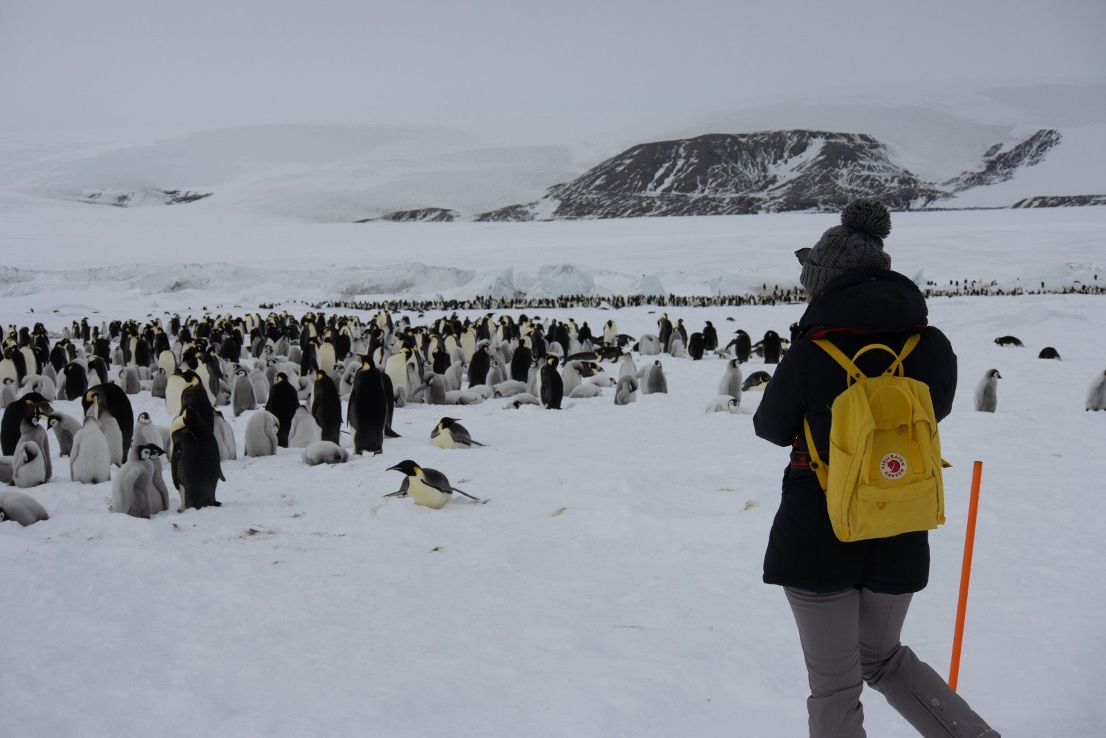 Weddell Sea – In search of the Emperor Penguin, incl. helicopters