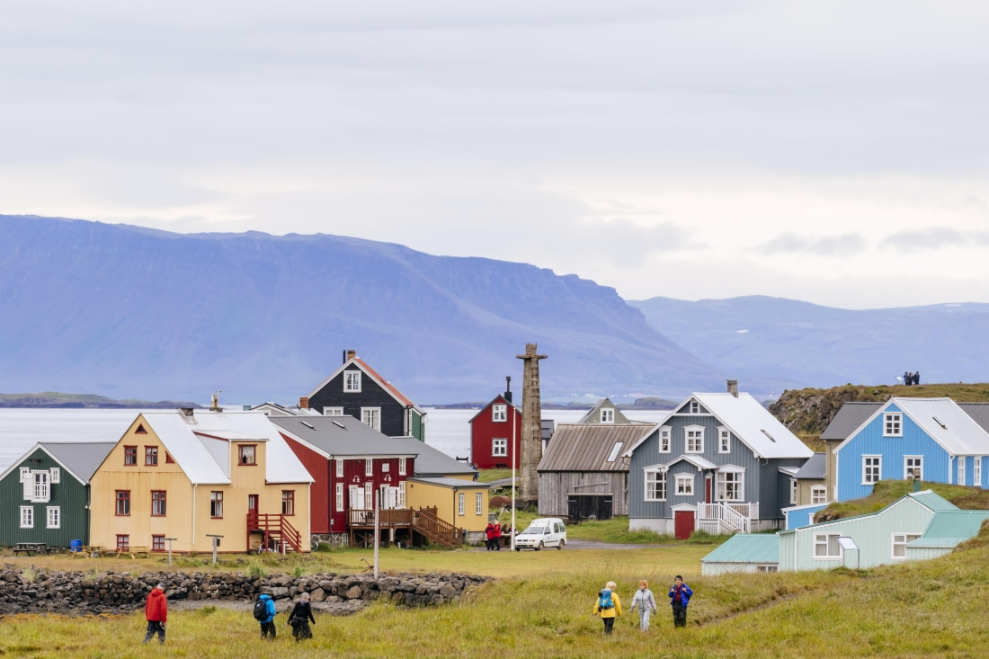 Northwest Iceland Explorer - Into the pack ice