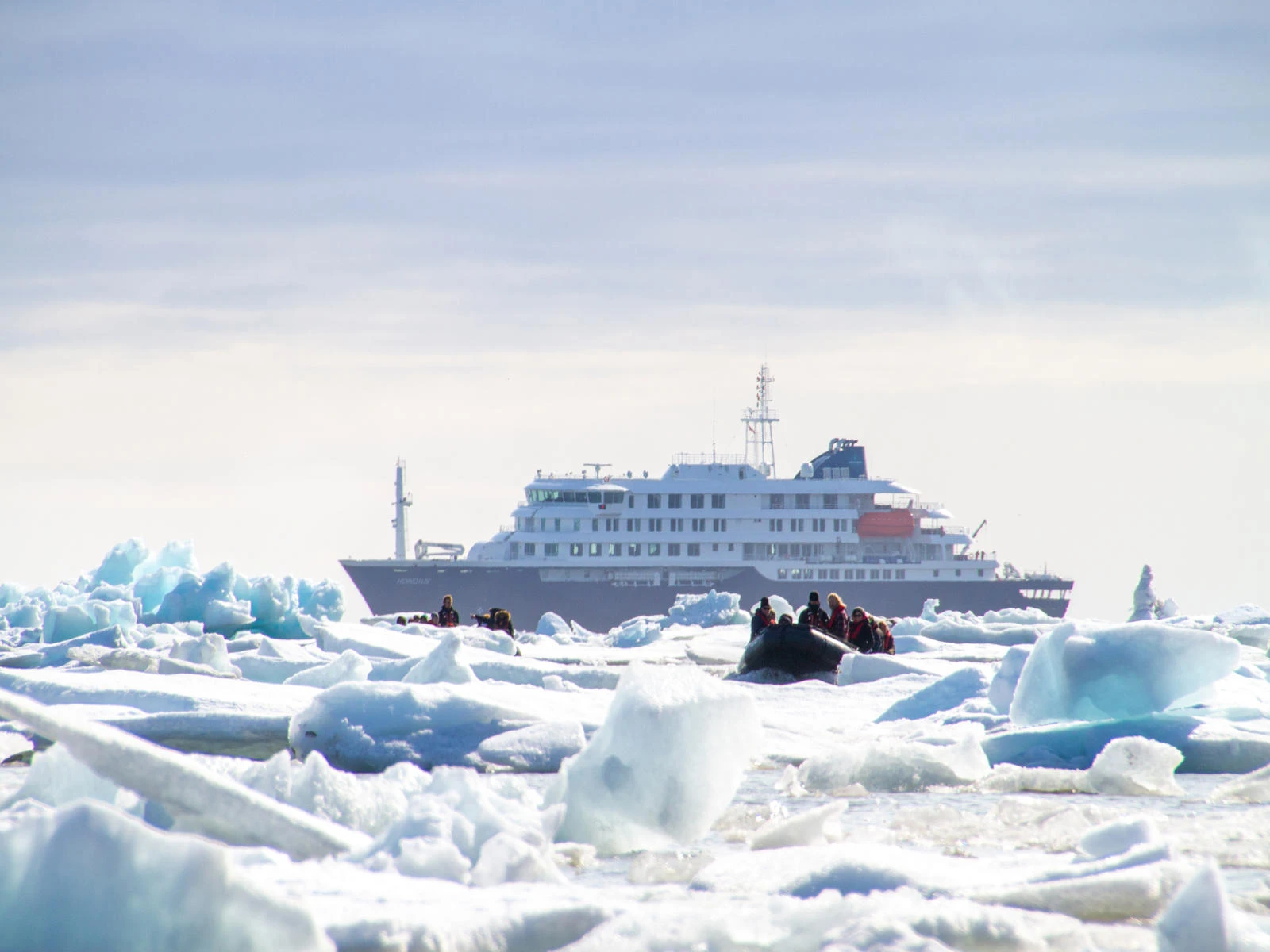 Arctic Ocean - Fair Isle, Jan Mayen, Ice edge, Spitsbergen, Birding - gallery 4