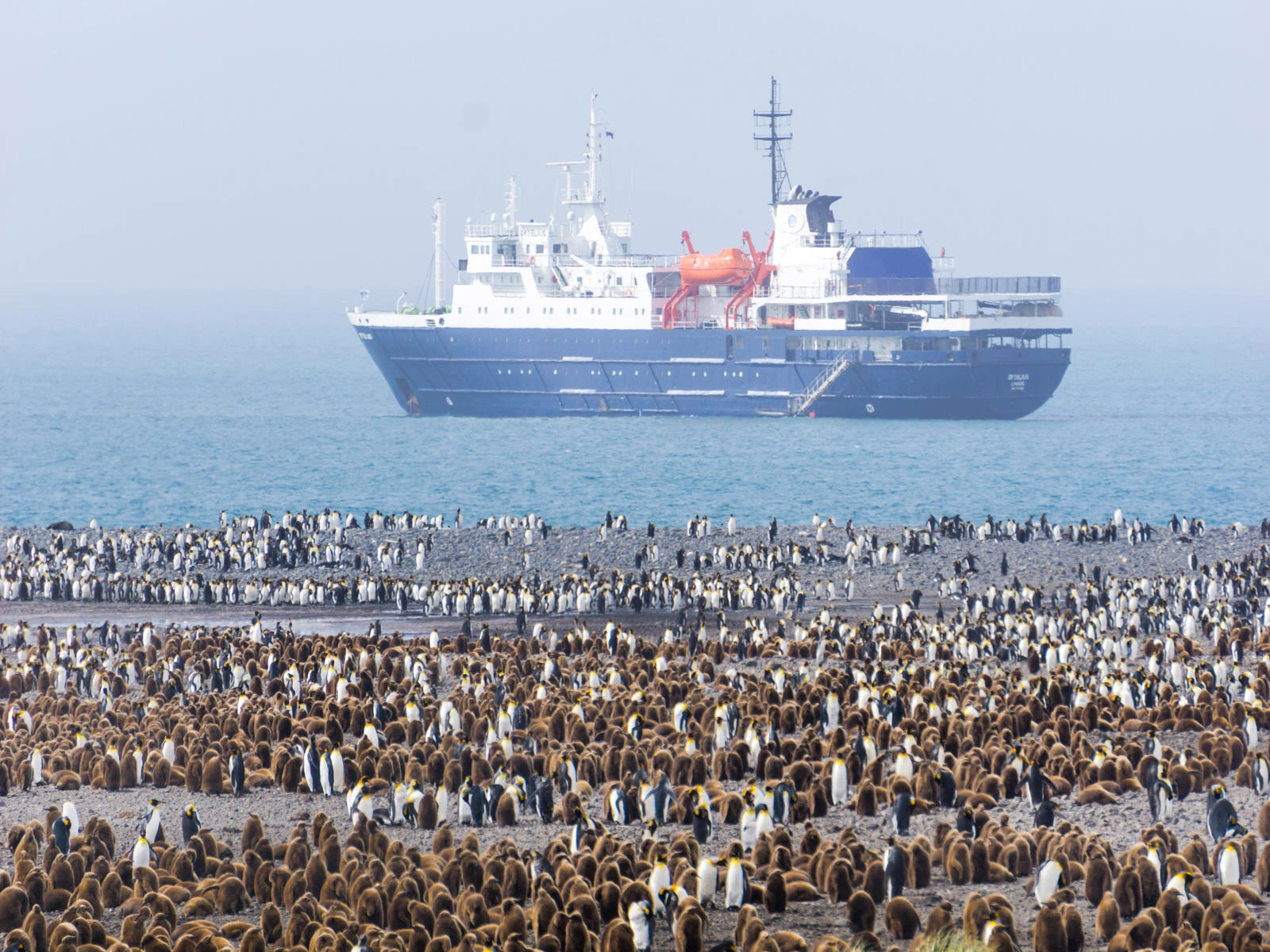 Antarctica - Weddell Sea Explorer Basecamp - free polar activities (kayaking, hiking, photo workshop) - gallery 1