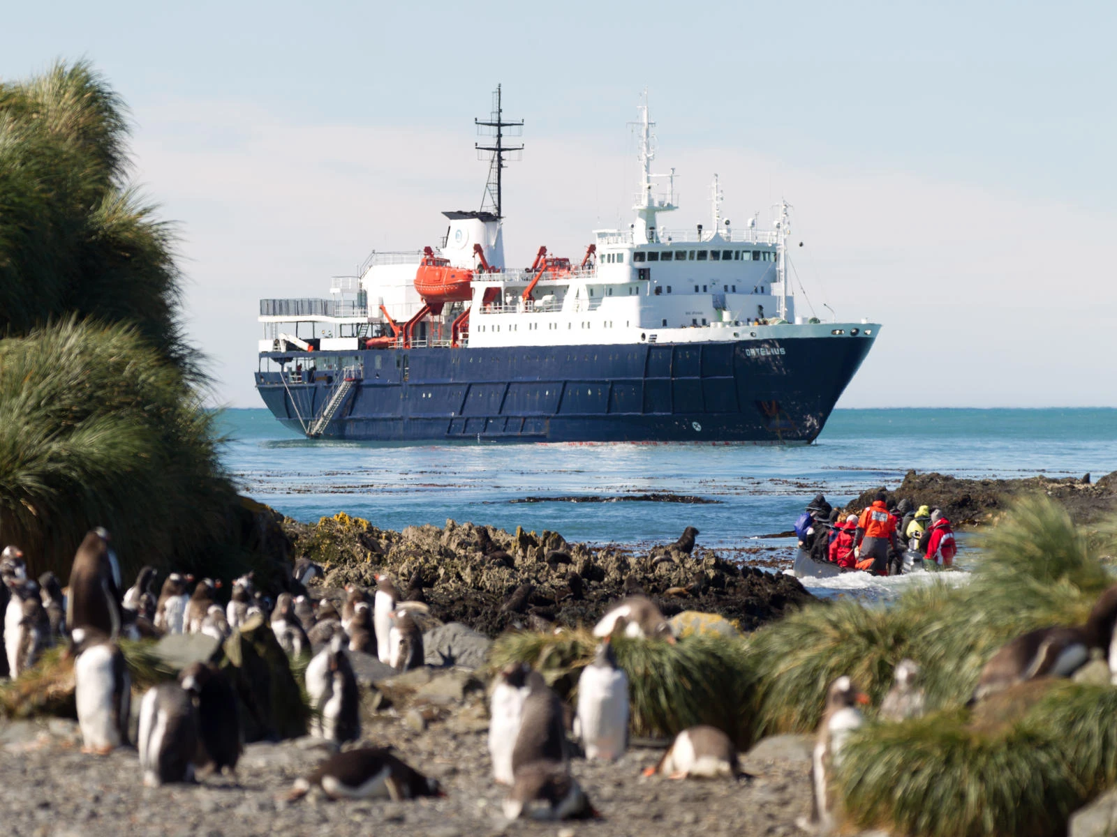 Antarctica - Discovery and learning voyage + navigational workshop - gallery 7