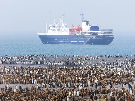 Remote Weddell Sea Explorer incl. South Georgia - South Sandwich Islands - Neuschwabenland - Larsen Ice Shelf - Paulet and Devil Island - Elephant Island, incl. helicopters - gallery 1