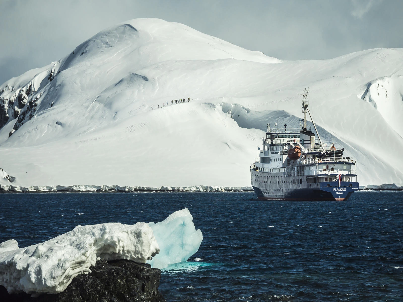 Antarctica - Whale watching - gallery 5