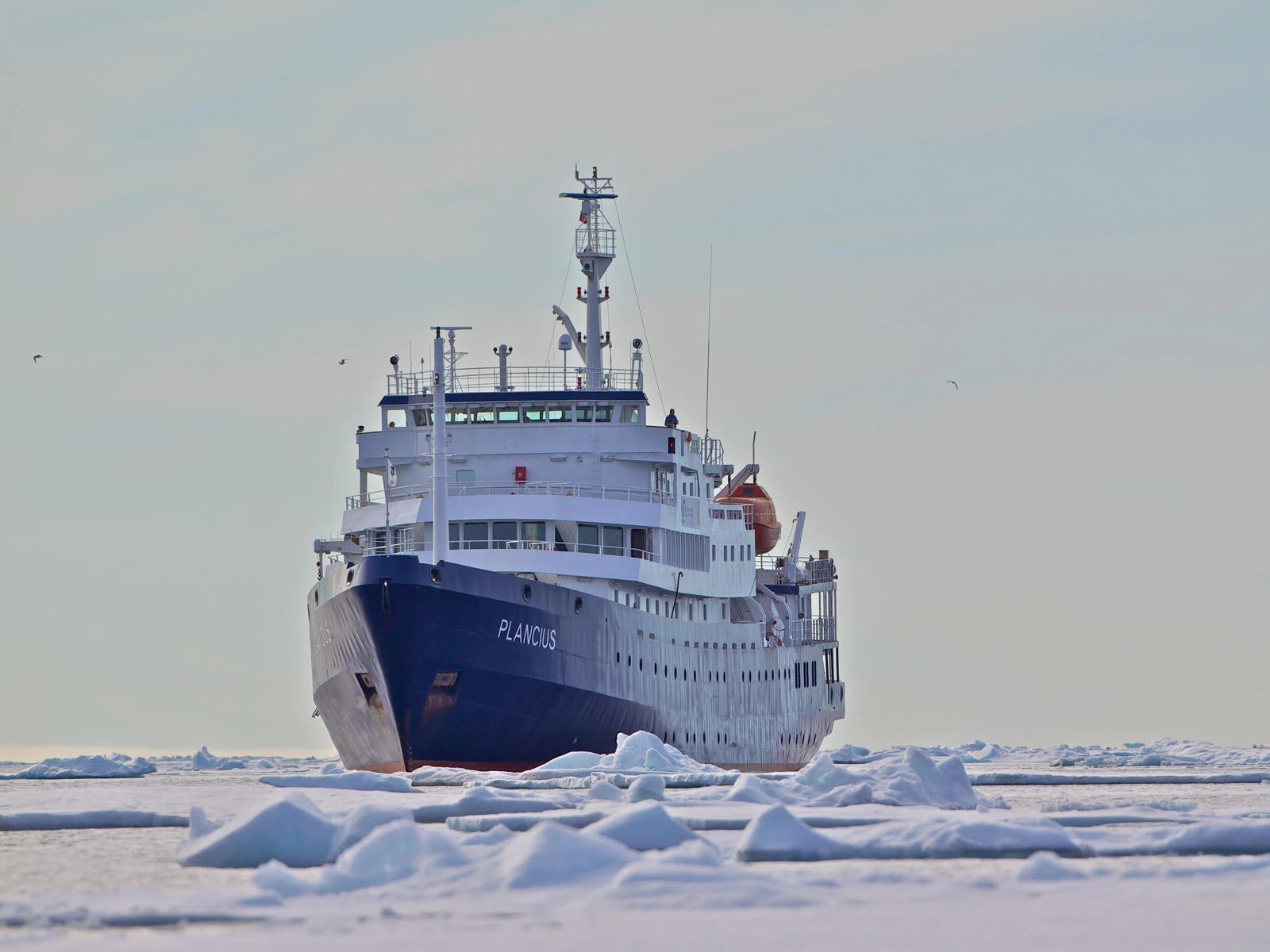 East and South Greenland Explorer, Aurora Borealis, Incl. flight from Narsarsuaq to Copenhagen - gallery 7