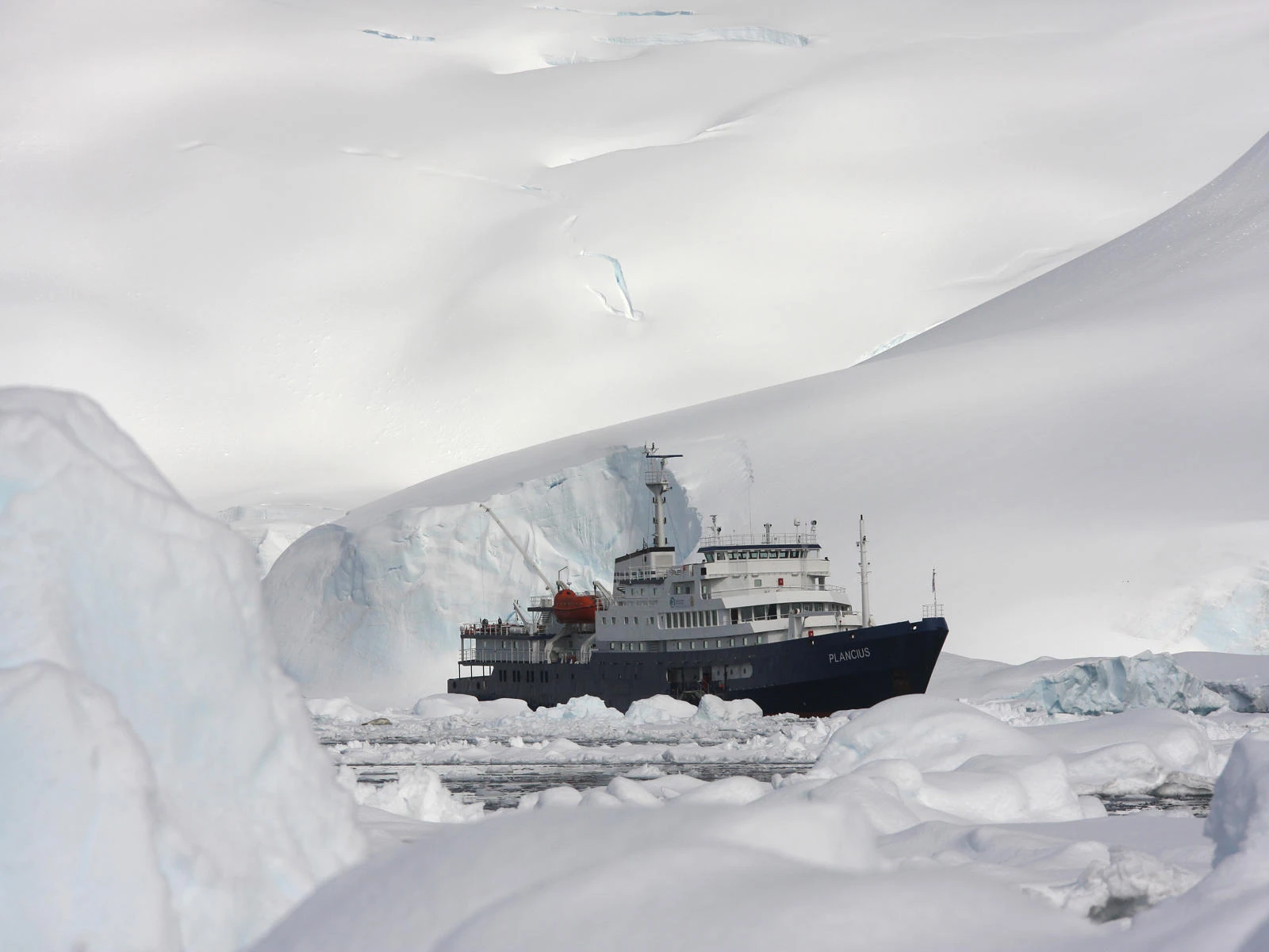 Falkland Islands - South Georgia - Antarctica - gallery 8